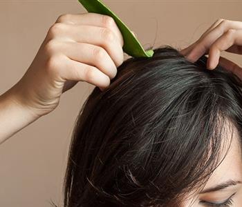 3 وصفات طبيعية بالصبار لحل جميع مشاكل الشعر