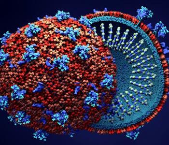كيفية اختراق الفيروس التاجي الجديد كورونا للخلايا البشرية