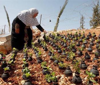 فلسطينية تمنح الورود حياة داخل قنابل الموت بعد مقتل ابنها