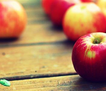 كيفية الحفاظ على التفاح طازج ا طوال اليوم