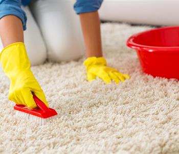 طرق مبتكرة وسهلة لتنظيف السجاد في بيتك