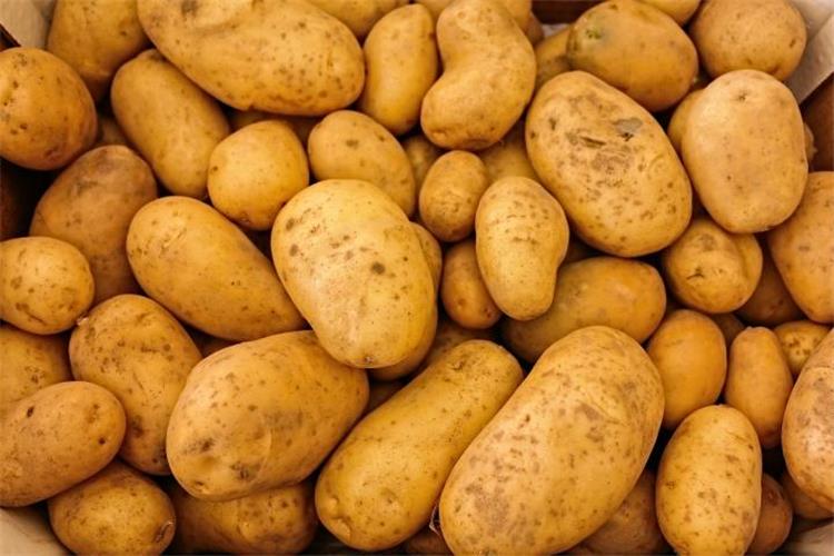 كيفية شراء البطاطس الجيدة و نصائح للبعد عن السامة