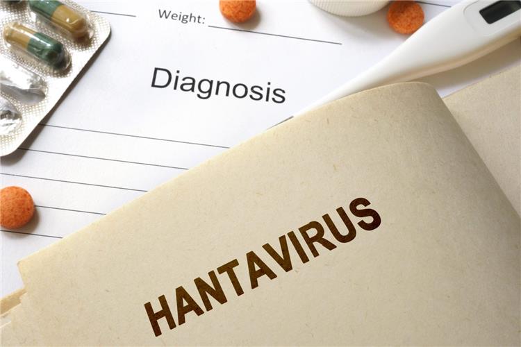 طرق الوقاية من فيروس هانتا