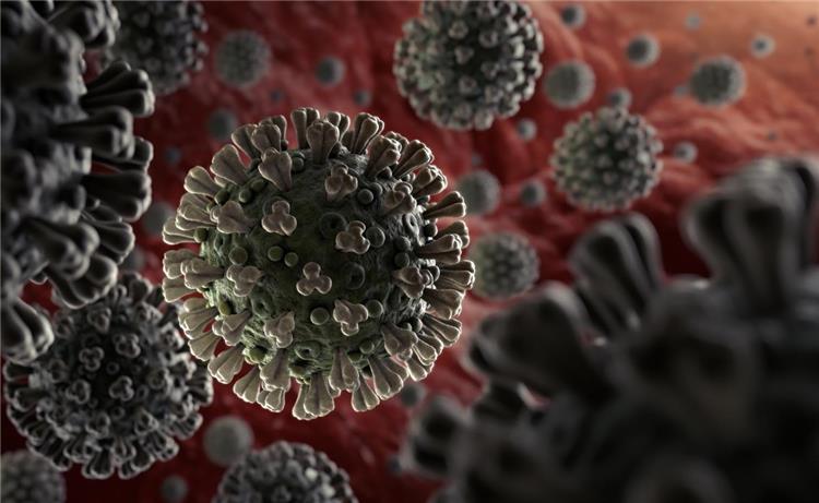 هل فيروس كورونا سينتهي بحلول فصل الصيف؟