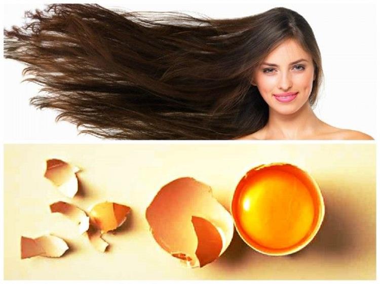 فوائد البيض لتطويل الشعر