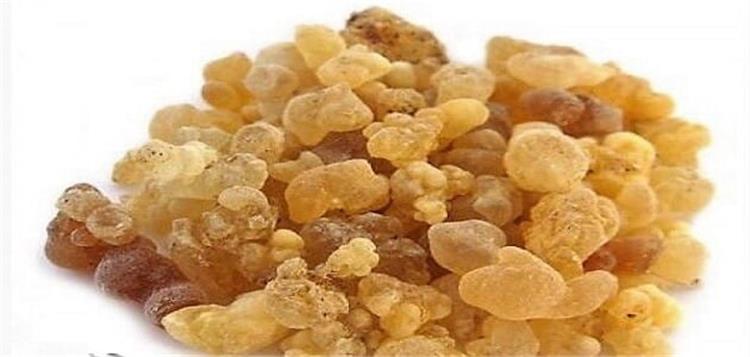 فوائد مر البطارخ للتخسيس