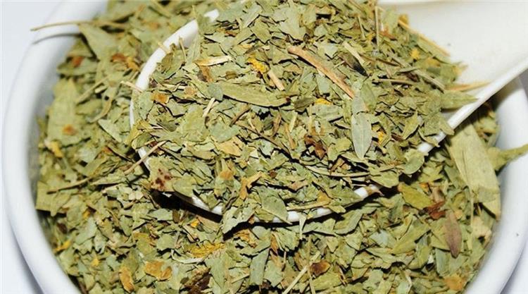فوائد عشبة السنامكي للجنس. تُعتبر عشبة السنامكي من النباتات الطبية الت