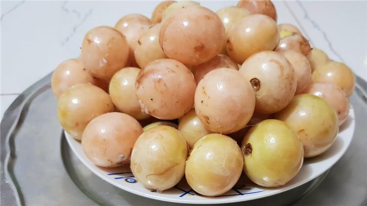 فوائد البمبر للكحة