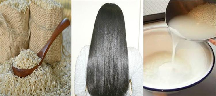 فوائد ماء الأرز لتكثيف الشعر لهلوبه