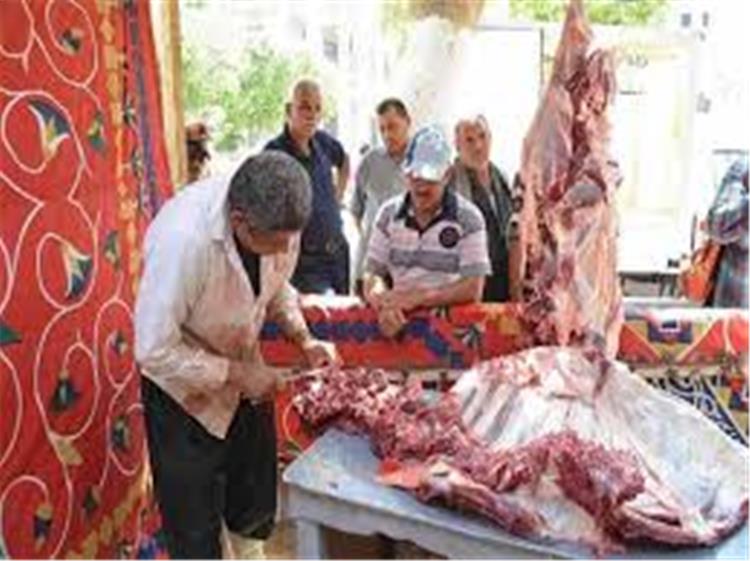 اسعار اللحوم والدواجن و الاسماك اليوم في مصر