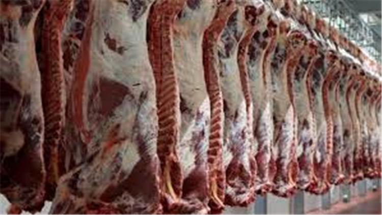 اسعار اللحوم والدواجن والاسماك اليوم السبت 8-12-2018 في مصر
