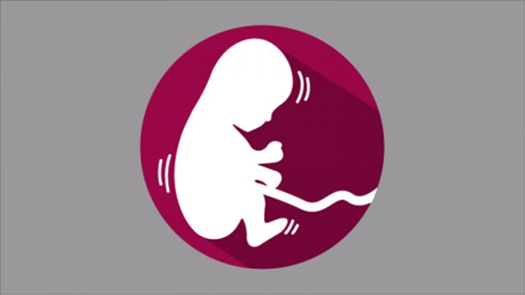 متى تشعرين بالقلق عند توقف حركة الجنين أثناء الحمل