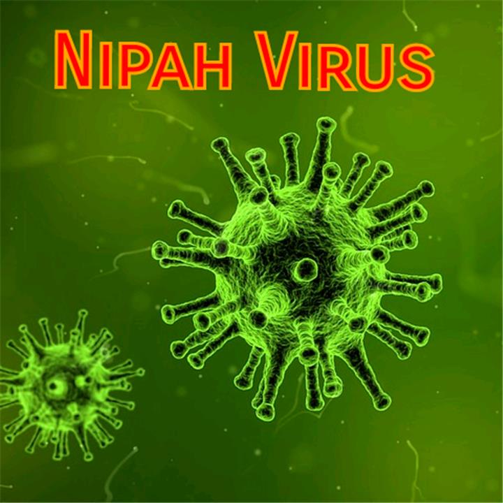 مفاجأة ظهور فيروس نيباه من قبل.. معلومات لا تعرفها