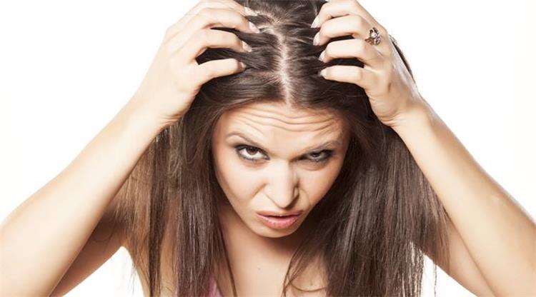 3 وصفات طبيعية لعلاج فراغات الشعر