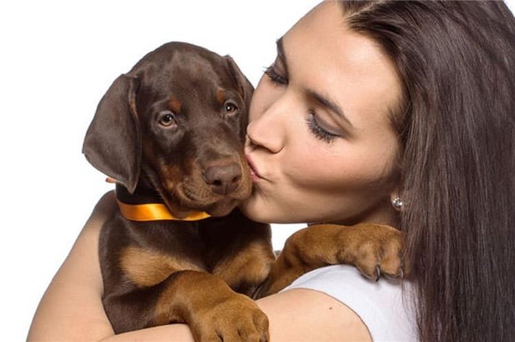 أسباب صحية تمنعك من تقبيل الحيوانات الأليفة