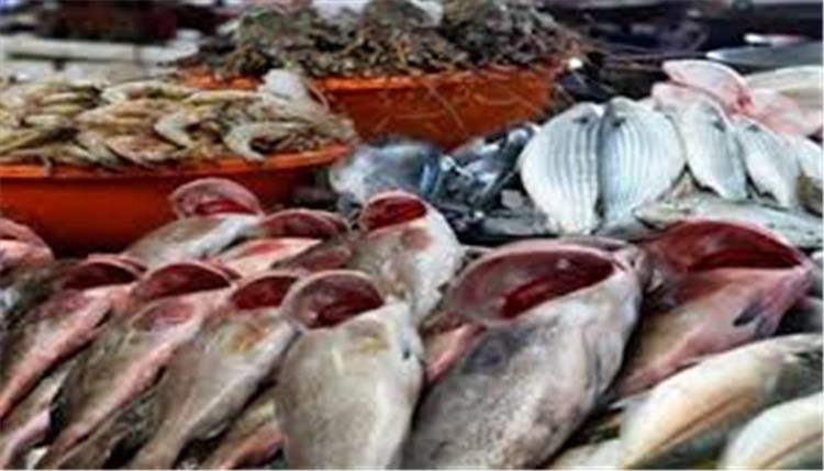 اسعار اللحوم والدواجن والاسماك اليوم الثلاثاء 25-9-2018 في مصر