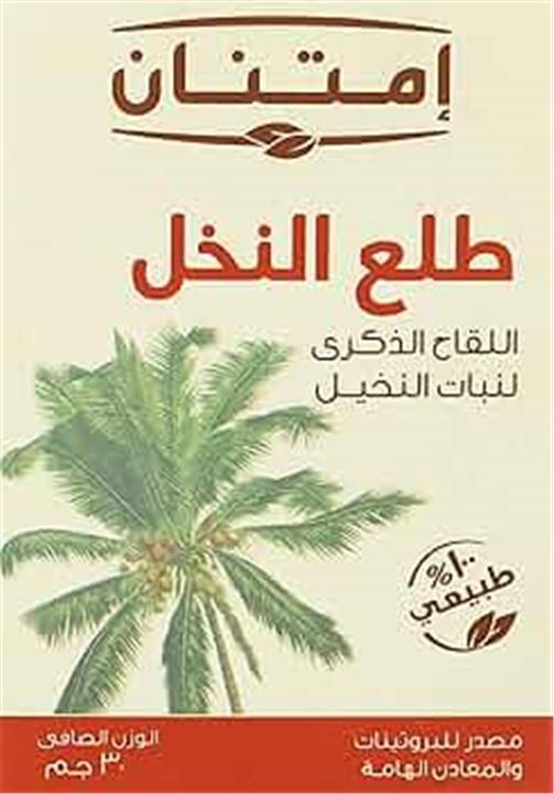 فوائد طلع النخيل مع الحليب للرجال