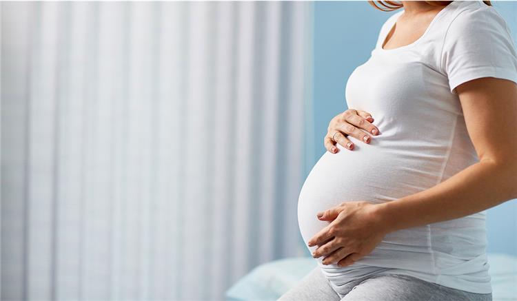 للحامل فوائد البابونج البابونج للحامل: