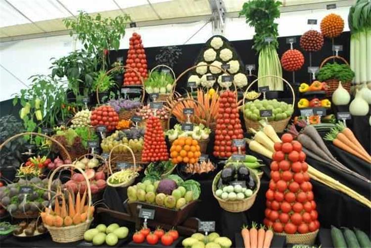 أسعار الخضروات والفاكهة واللحوم والأسماك 