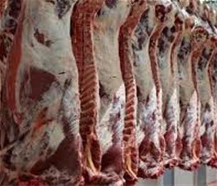  اسعار اللحوم والدواجن والاسماك اليوم | الخميس 4-2-2021 في مصر...اخر ت