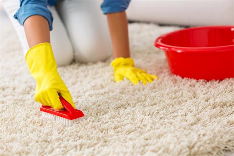 طرق مبتكرة وسهلة لتنظيف السجاد في بيتك