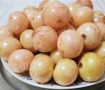 فوائد البمبر للكحة علاج طبيعي فعال لمشاكل الجهاز التنفسي