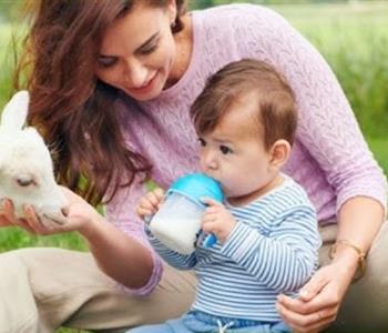 فوائد حليب الماعز للرضع.. خيار طبيعي يعزز نمو الأطفال