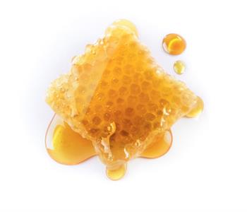 فوائد شمع العسل للرجال لتعزيز الطاقة ودعم الصحة العامة