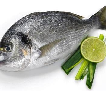 فوائد سمك الدنيس لإنقاص الوزن