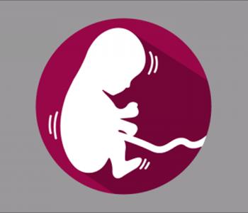 متى تشعرين بالقلق عند توقف حركة الجنين أثناء الحمل