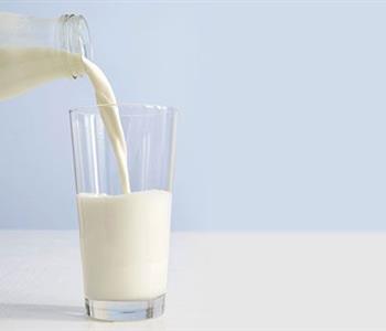 فوائد الحليب للكبار يعزز دور الجهاز المناعي ويحسن الحالة المزاجية