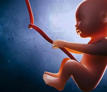 أسباب وفاة الجنين في الشهور الأولى من الحمل
