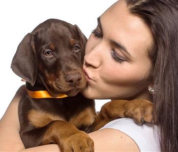 أسباب صحية تمنعك من تقبيل الحيوانات الأليفة