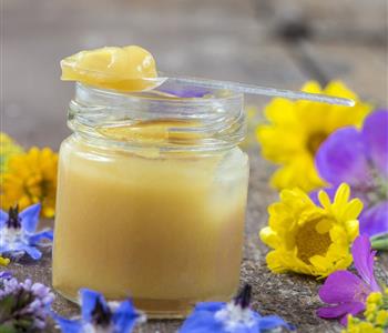 أضرار غذاء ملكات النحل للرجال تأثيرات سلبية من كثرة الاستهلاك