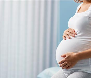 أضرار البابونج للحامل يسبب الإجهاض في هذه الحالات