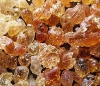 فوائد مر البطارخ لجرثومة المعدة علاج طبيعي فعال وآمن