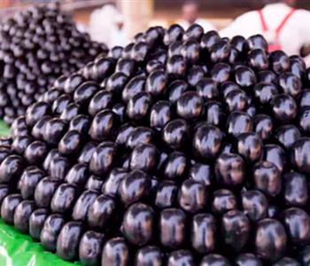 فوائد البرقوق الأسود يحسن الهضم ويقي من الإمساك