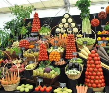 اسعار الخضروات والفاكهة واللحوم والدواجن اليوم 14 فبراير 2018