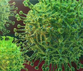 كيف يؤثر الفيروس التاجي كورونا على الخصوبة والحمل