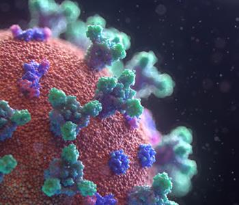 هل فيروس كورونا سينتهي بحلول فصل الصيف؟ العلماء يجيبون