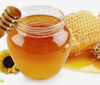 عسل النحل غذاء ومصل واقي