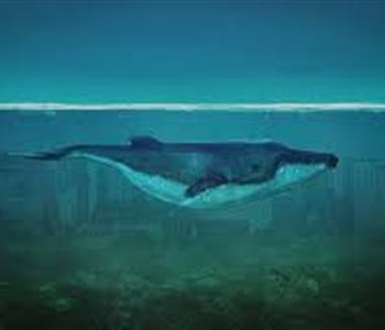 الحوت الأزرق تحدي الموت